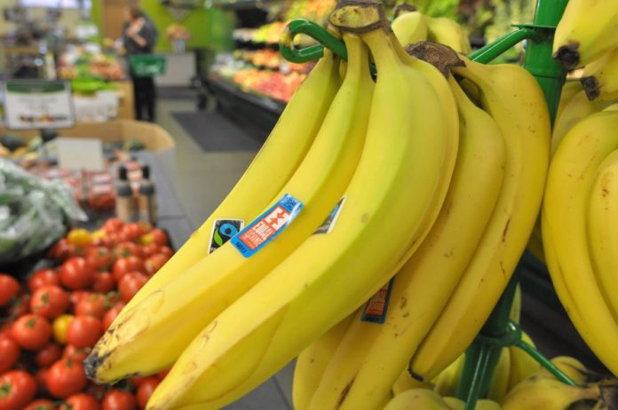banano organico de ecuador